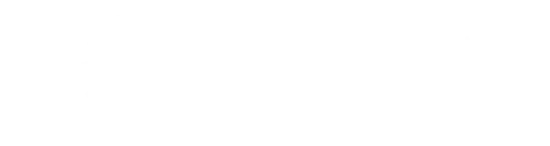 WIS company profile cover